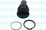 Шаровая опора KAVO PARTS 165445