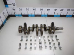 Коленвал Focus III 2011-2019 (1.6 DURATEC TI-VCT IQDB 105PS)