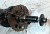 Коленвал Swift 2004-2010 Jimny (FJ) 1998> Liana 2001-2007 Ignis (HT) 2000-2005 Ignis II (HR) 2003-2008 (1.3 M13A 1222169G10)